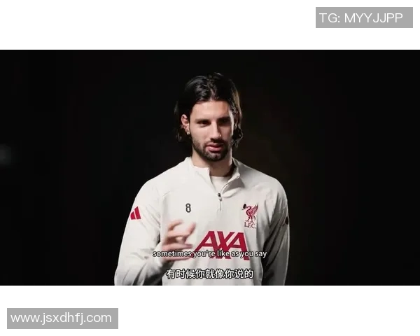 索博斯洛伊的魅力探秘与历史渊源深度解析之旅